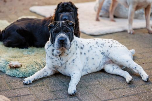 2024-10-26-15-47-25-EOS R6m2-1687-Verbessert-RR_2048px