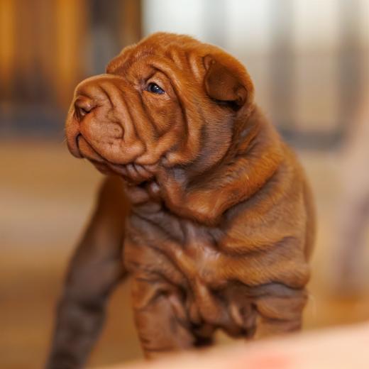 2025-01-26-11-57-38-EOS R6m2-5767-Verbessert-RR