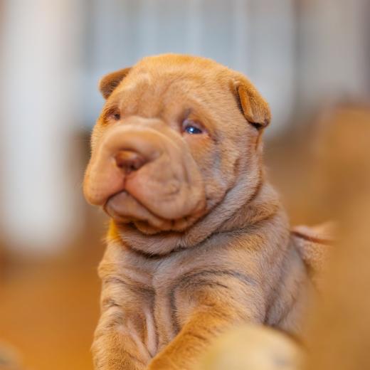 2025-01-26-11-59-03-EOS R6m2-5776-Verbessert-RR