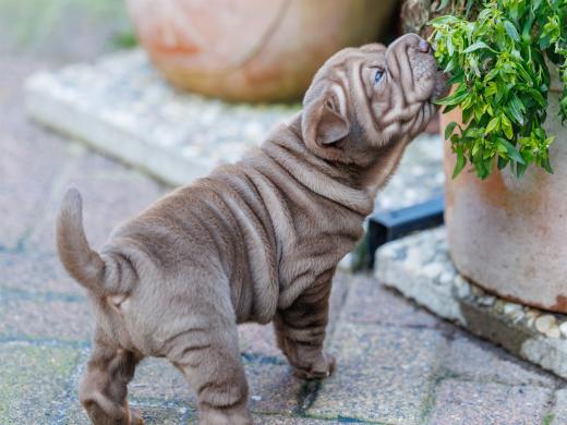 2025-02-02-10-49-15-EOS R6m2-5846-Verbessert-RR