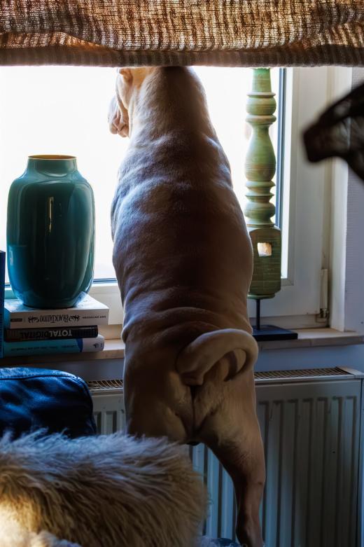 2025-02-02-10-53-10-EOS R6m2-5852-Verbessert-RR