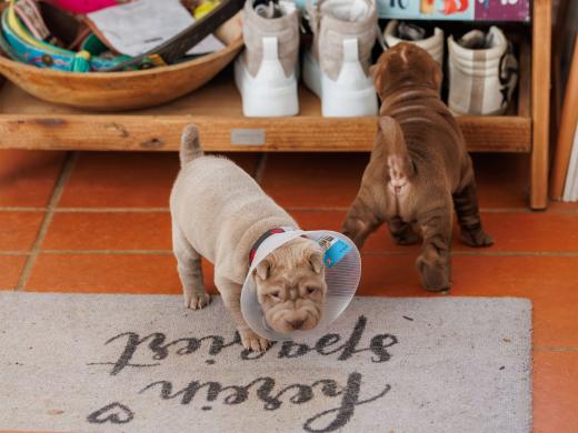 2025-02-02-10-56-54-EOS R6m2-5863-Verbessert-RR