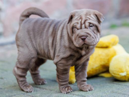 2025-02-08-10-12-06-EOS R6m2-5893-Verbessert-RR