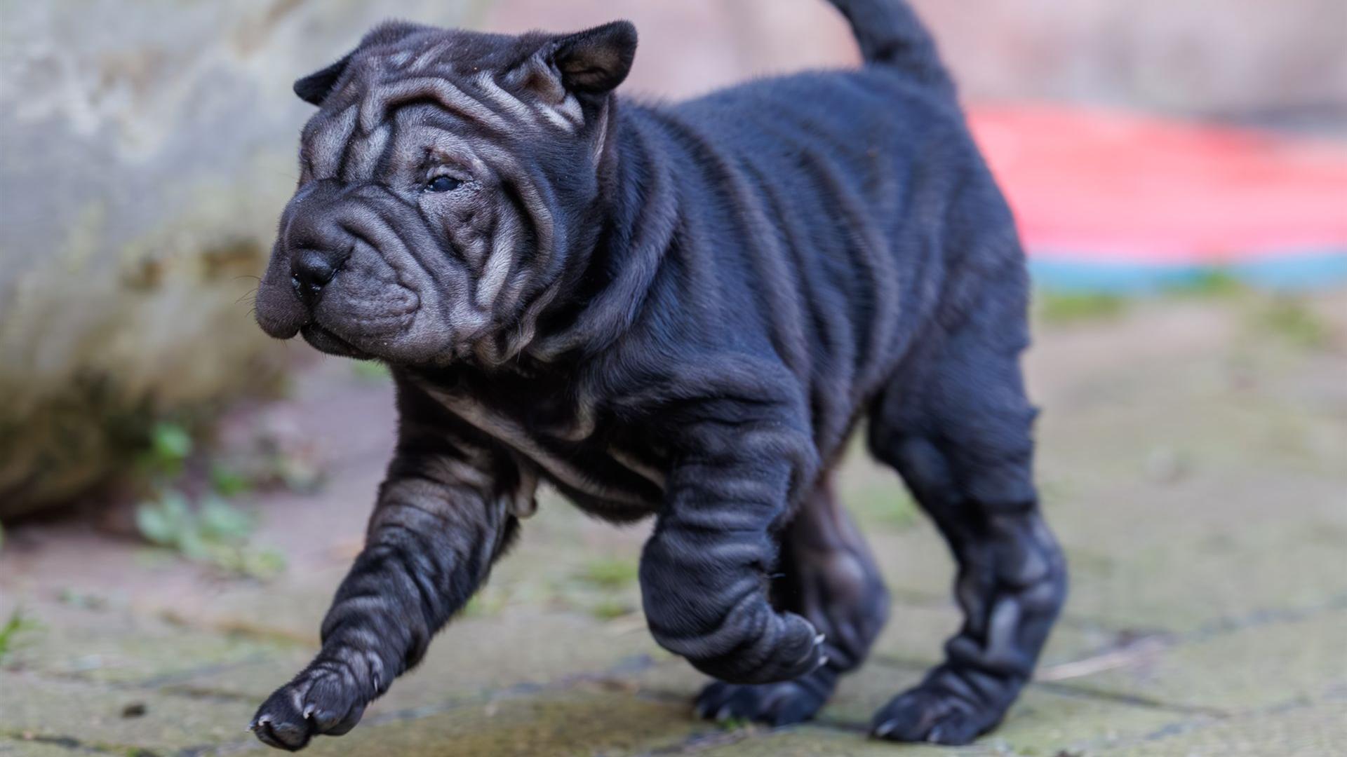 2025-02-08-10-12-17-EOS R6m2-5899-Verbessert-RR