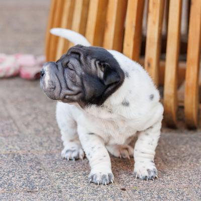 2025-07-11-16-43-44-EOS R6m2-6436