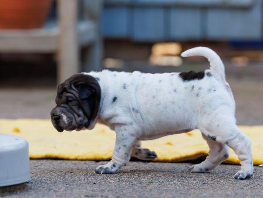 2025-07-11-16-45-54-EOS R6m2-6442