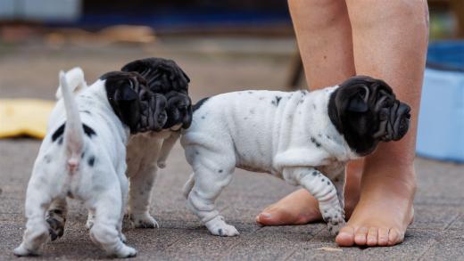 2025-07-11-16-46-15-EOS R6m2-6451