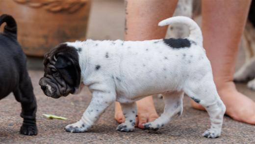 2025-07-11-16-49-56-EOS R6m2-6524