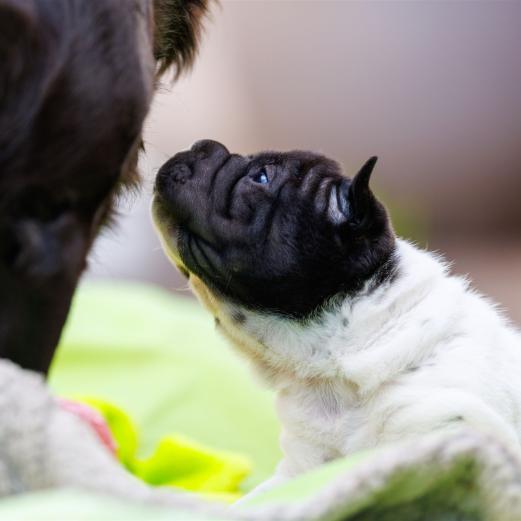 2025-07-11-16-53-38-EOS R6m2-6581