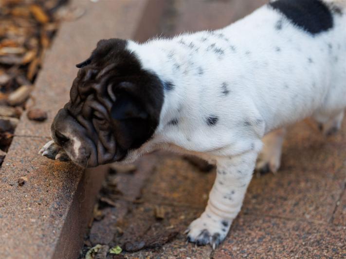 2025-07-11-16-58-29-EOS R6m2-6631