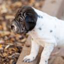 2025-07-11-16-58-30-EOS R6m2-6634