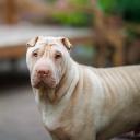 2025-08-03-19-26-08-EOS R6m2-6747