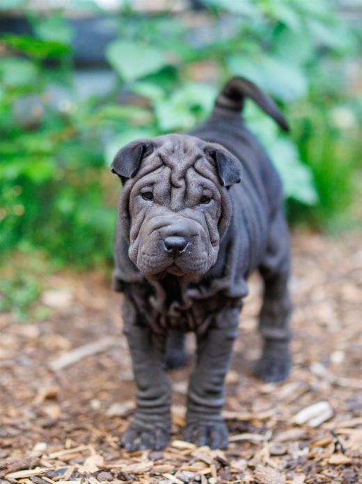 2025-08-03-20-31-55-EOS R6m2-6757