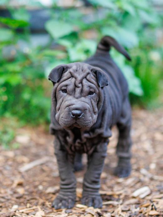 2025-08-03-20-31-57-EOS R6m2-6761