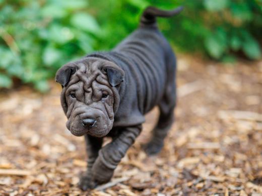 2025-08-03-20-32-16-EOS R6m2-6770