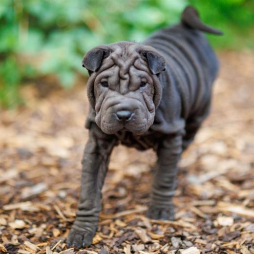 2025-08-03-20-32-16-EOS R6m2-6771