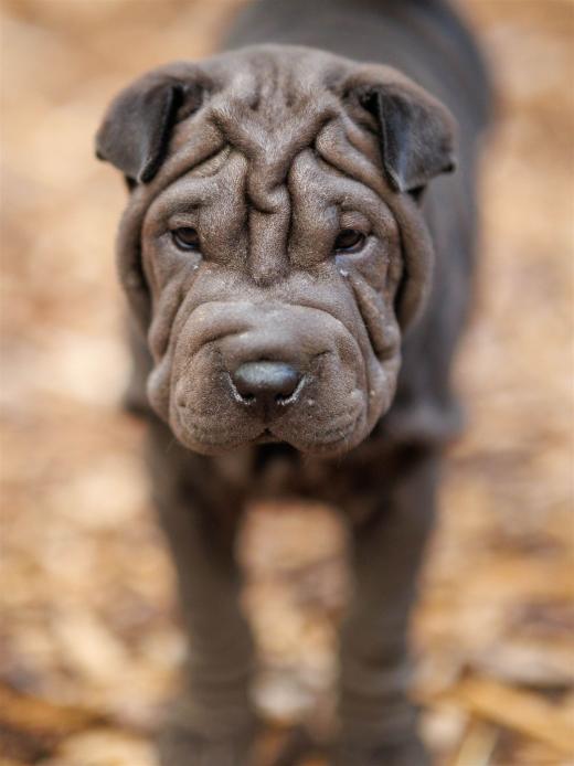 2025-08-03-20-32-21-EOS R6m2-6776