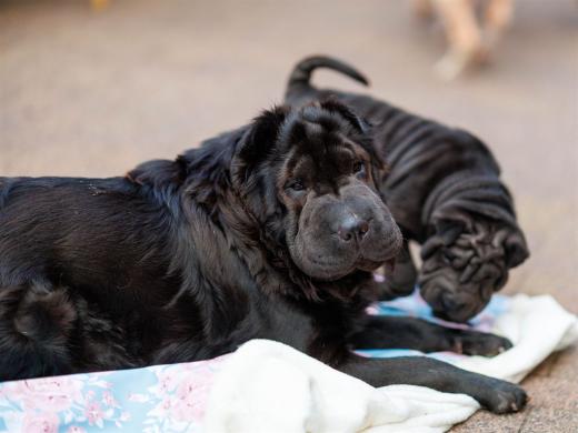 2025-08-03-20-34-44-EOS R6m2-6786