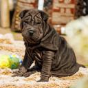 2025-08-06-15-27-17-EOS R7-7102