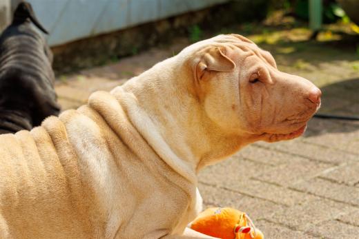 2025-08-06-15-31-13-EOS R7-7112