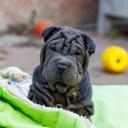 2025-08-06-17-41-52-EOS R7-7145