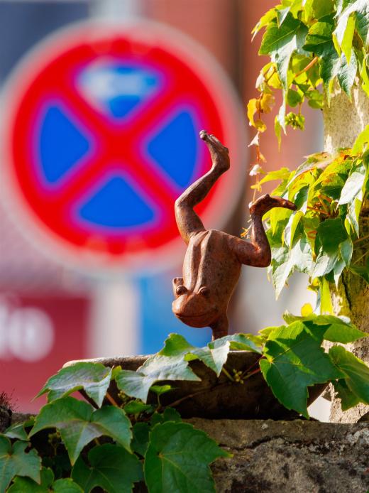 2025-08-06-17-55-40-EOS R7-7154-2