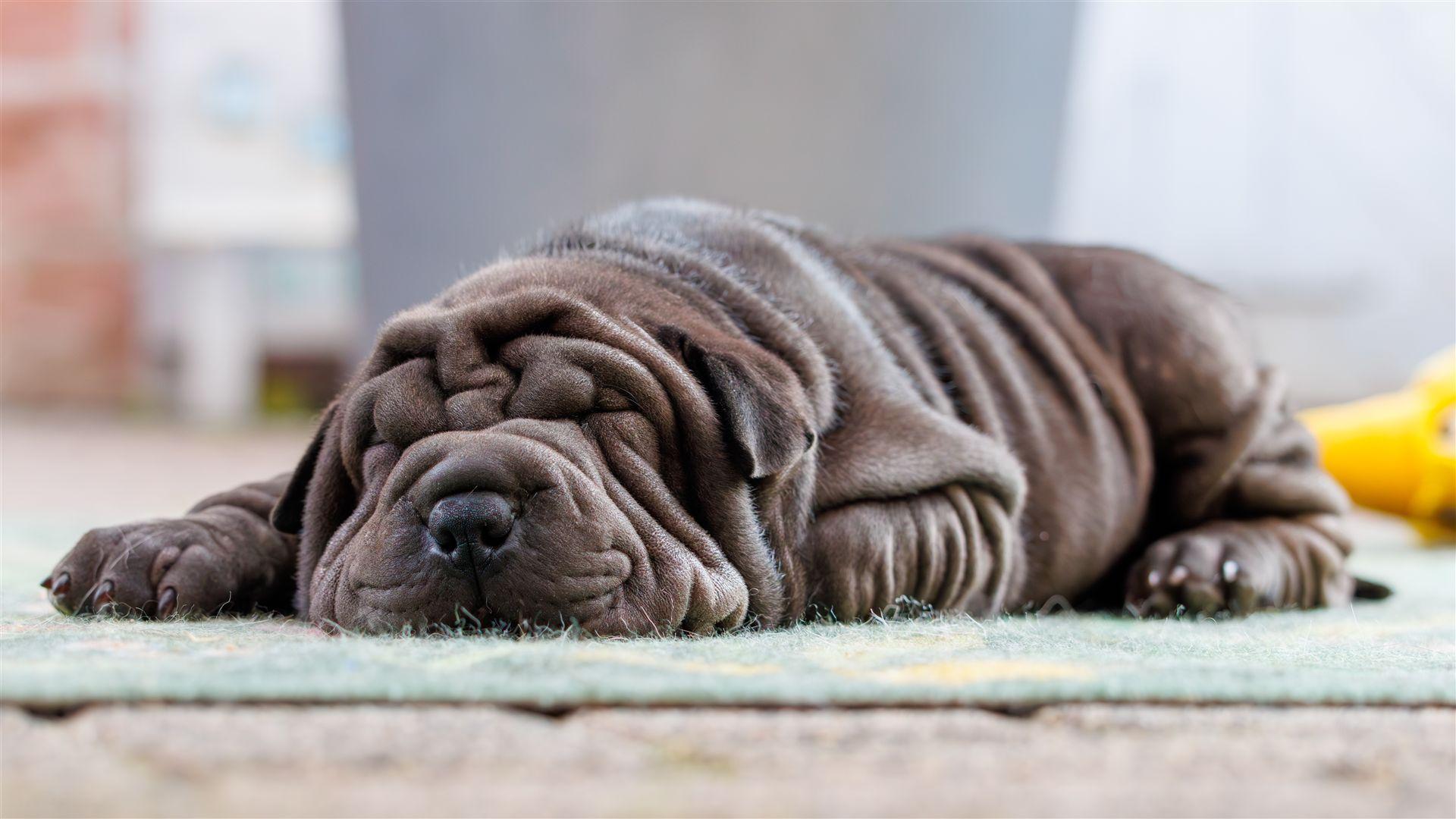 2025-08-06-17-57-09-EOS R7-7163