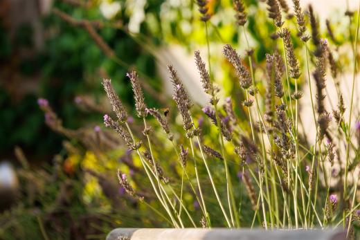 2025-08-06-18-17-28-EOS R7-7221