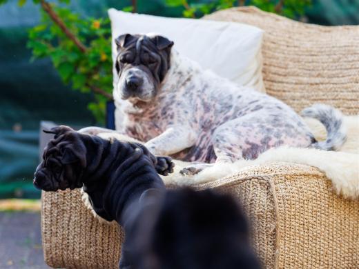 2025-08-08-18-48-03-EOS R6m2-1934