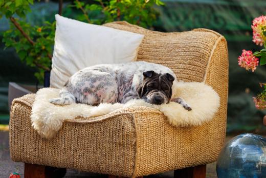 2025-08-08-18-49-15-EOS R6m2-1939