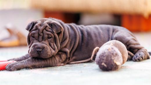 2025-08-08-18-56-07-EOS R6m2-1947