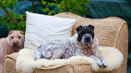 2025-08-08-20-07-33-EOS R6m2-1998