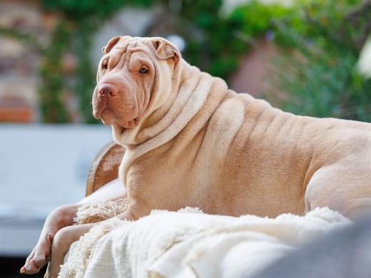 2025-08-08-20-09-01-EOS R6m2-2016