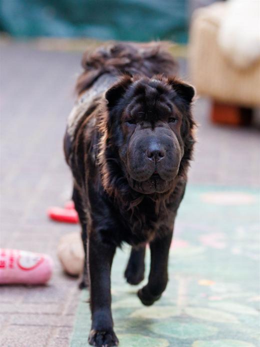 2025-08-08-20-09-49-EOS R6m2-2035