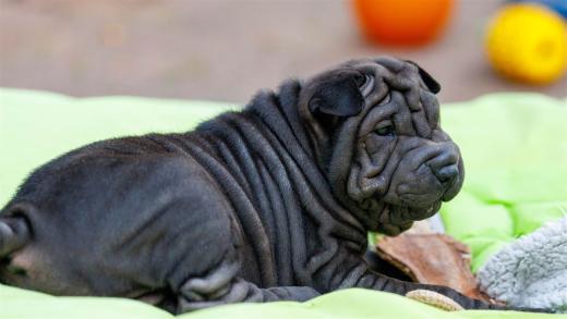 2025-08-08-20-11-19-EOS R6m2-2045