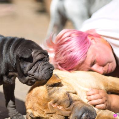 Ludo, Monk und Andrea