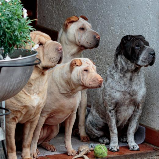 Die Mädels bei Regen am Eingang