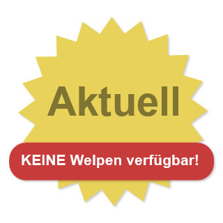 Aktuell
